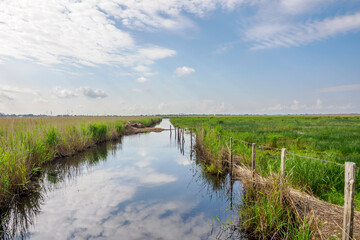 The Rozé Canal with traditional barges in the Brière Nature Park, France © serge
