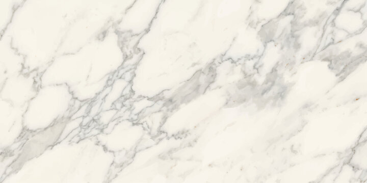 A close-up captures the elegance of pristine marble, its surface adorned with intricate, natural veining that tells a story of geological artistry. 