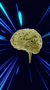 Vertical video: Neon streaks accelerating, golden 3D brain rotating, revealing gyri and highlights