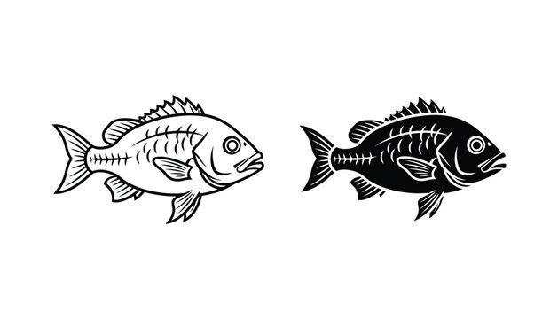 Detailed fish illustration with bone structure graphic for seafood restaurant branding and fishing logo design