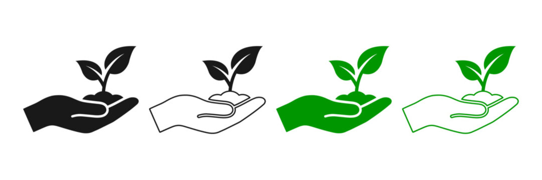 Sequence of human hands holding growing plants illustrating the stages of nature conservation perfect for ecology projects
