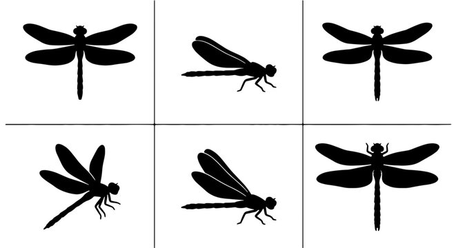 Six Black Silhouette Dragonflies, Vector Icons Set, Insect Graphics for Nature Designs, Wildlife Art Elements, Entomology Illustrations