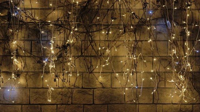 Christmas and New Year lights decorating a urban brick wall with dormant vines