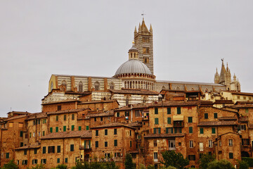 Fototapeta premium Great view of Duomo di Siena