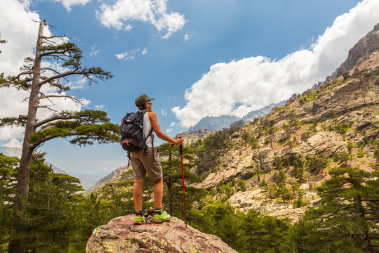 Trekking hiker with backpack and poles stands on a rock, admiring the vast mountain landscape with pine trees, symbolizing outdoor adventure and travel in Asco Valley, GR20, North Corsica.