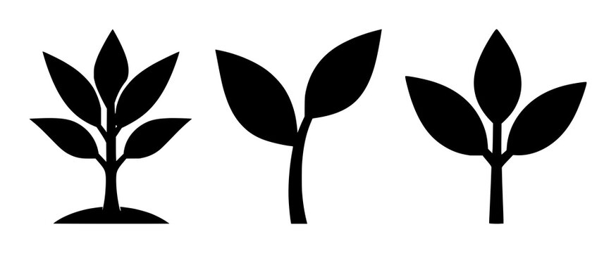 Plant sprout icon set with solid black silhouette illustration featuring finance, growth, flora with minimalism and simplicity