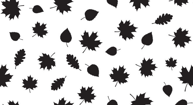 Black silhouettes of autumn leaves on white background