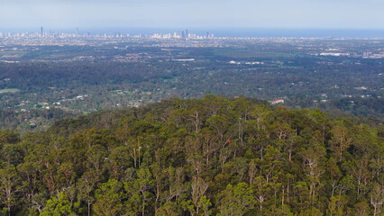 Fototapeta premium Aerial View of Gold Coast Hinterland Forest with Distant City Skyline