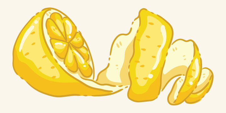 Hand-drawn illustration of a fresh yellow lemon half with a decorative spiral citrus peel twist.