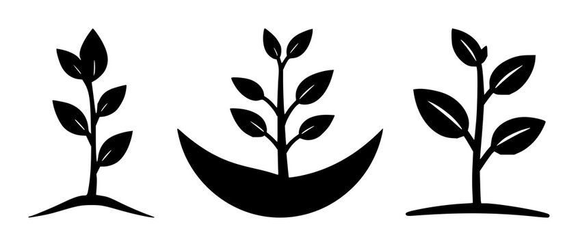 Micro-investment seed icon set with solid black symbol on white background featuring finance, investment, iconography with minimalist line art and simple vector