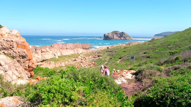 Hikers on route through dune vegetation at Robberg circular hiking trail, Plett