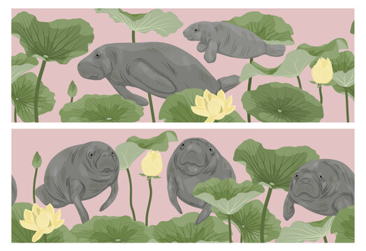 Seamless horizontal borders with manatees and lotus flowers. Vector illustrations of marine mammals in river plants on pink background. Repeating patterns for fabric print, packaging design, tape