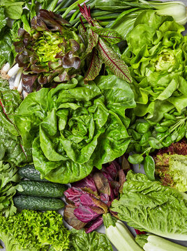 Assorted fresh leafy vegetables arranged as colorful healthy food background