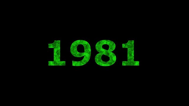 A dynamic Glowing neon text 1981 number countdown timer animation. Old film style historical year loop. Minimal countdown or year concept animation.