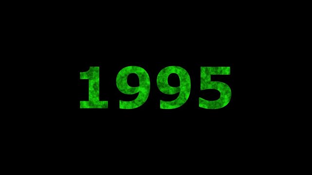 A dynamic Glowing neon text 1995 number countdown timer animation. Old film style historical year loop. Minimal countdown or year concept animation.