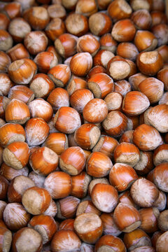 Hazelnuts