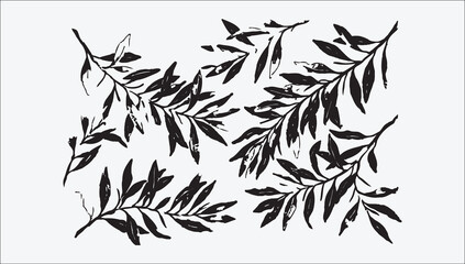 Elegant black and white botanical illustration of willow branches and leaves minimalist design © MDSAIFUL