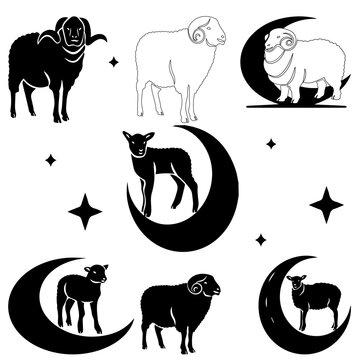 Dumba sheep vector Qurbani special set vector Eid Al Adha