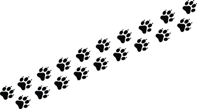 Diagonal path of black animal paw prints silhouette isolated on white background for veterinary and nature design