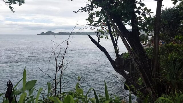 Scenic tropical shoreline with coastal trees, calm ocean waters, and distant island formations under cloudy skies at Tanjung Penyu beach, East Java, Indonesia.