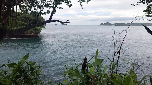 Peaceful tropical ocean bay framed by coastal vegetation and tree branches with distant islands under an overcast sky at Tanjung Penyu beach, East Java, Indonesia.