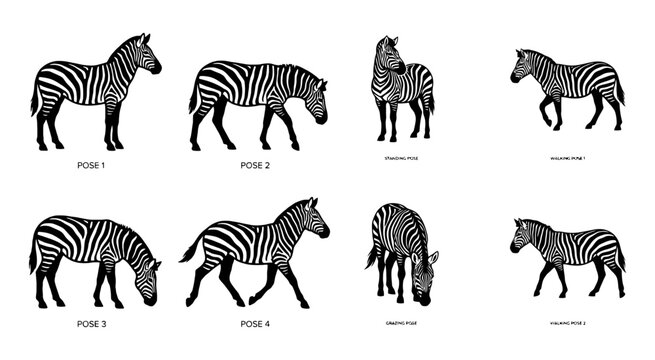 Set of eight different zebra animal poses in black and white style