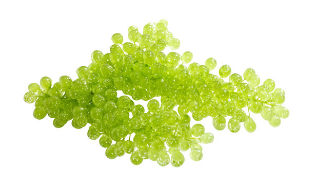 sea grapes, green caviar on white background.