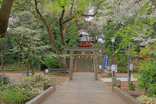Semba Tosho-gu, a Shinto shrine near Kita-in in Kawagoe, Saitama, Japan