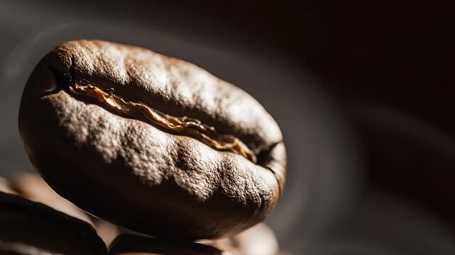 Macro Shot of a Single Roasted Coffee Bean with Steam Rising.