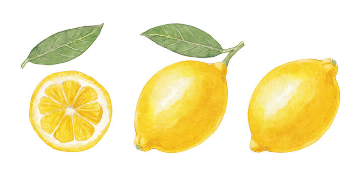 Watercolor lemon clipart set with whole lemons, lemon slice and green leaves