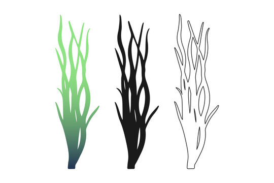 Seaweed kelp silhouettes set in green gradient black and linear styles for aquarium packaging and coastal product branding.