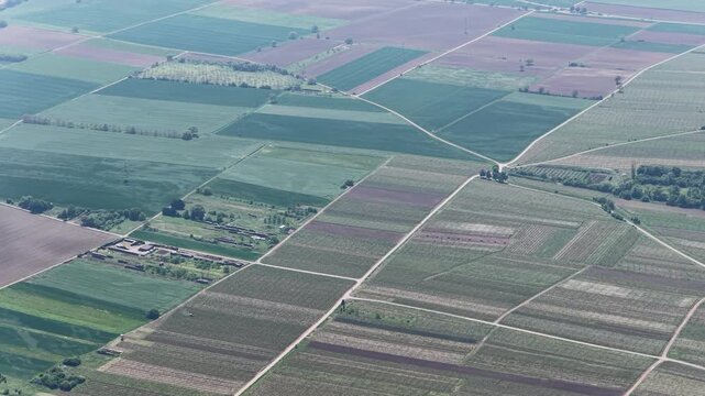 Aerial view of vast agricultural patchwork of green and brown fields with rural roads under soft daylight Selestat, Grand Est, France.