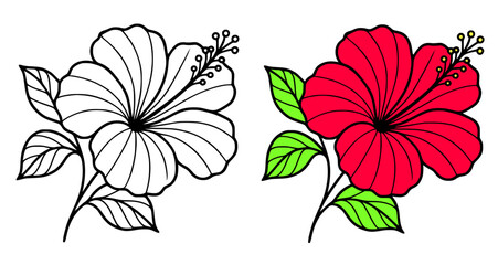 Hibiscus vector icon illustration, in line art and colored design, for flower themed coloring pages © Bambang