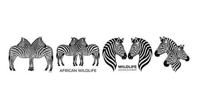 Set of black and white zebra animal illustrations and logos