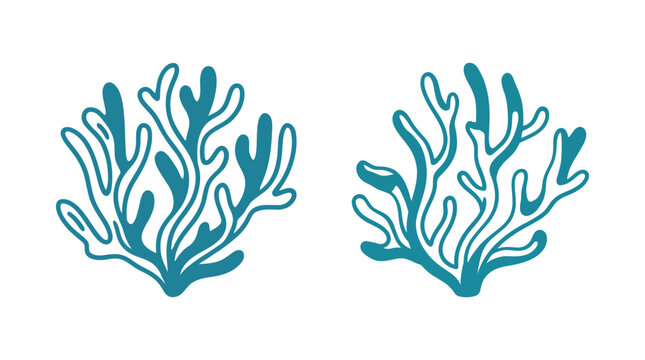 Two stylized blue coral branches, minimalist vector illustration