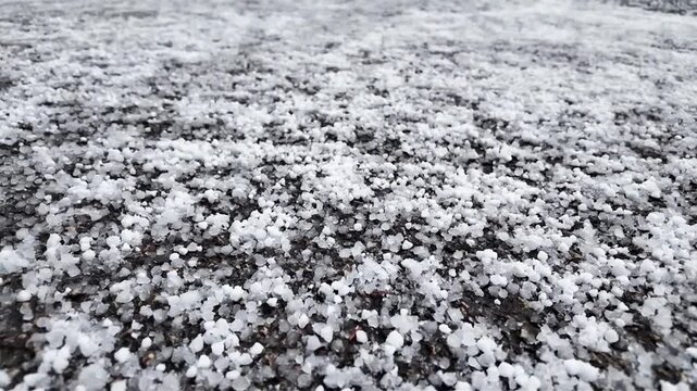 Gros plan sur des gr&ecirc;lons qui tombent dans l'herbe dans un jardin. Boules de glace apr&egrave;s un orage de printemps. La gr&ecirc;le est une forme de pr&eacute;cipitation solide. Une temp&ecirc;te de gr&ecirc;le en France.