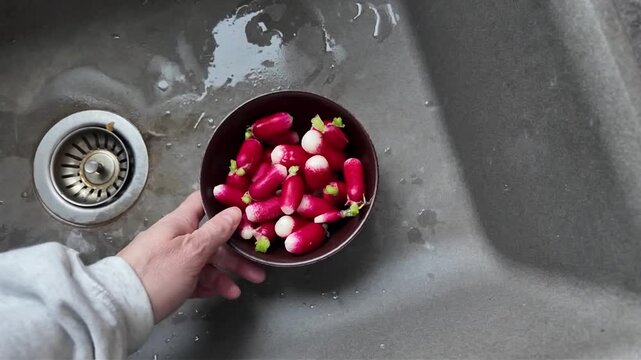 Des radis fra&icirc;chement lav&eacute;s sous l'eau courante dans l'&eacute;vier de la cuisine, d&eacute;pos&eacute;s dans un bol brun. Pr&ecirc;ts &agrave; &ecirc;tre d&eacute;guster.