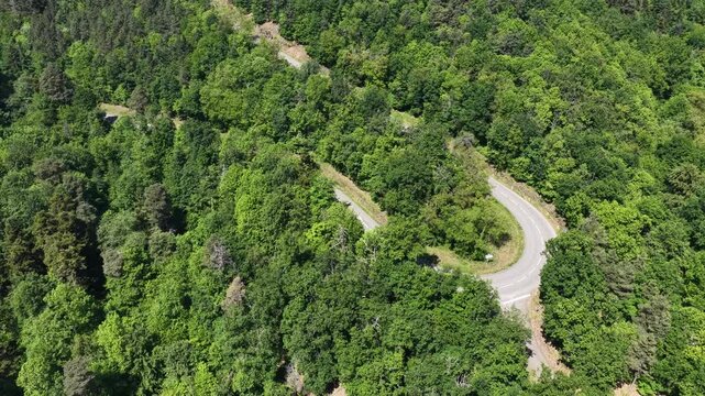 Aerial view of a winding road with a sharp hairpin turn through a dense green forest in Selestat, Grand Est, France.