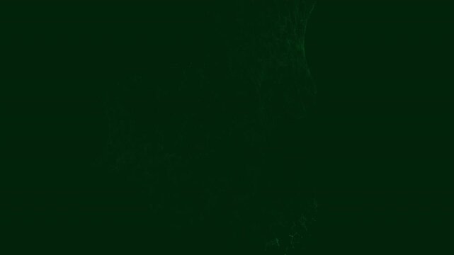 Flawless mathematical seamless loop of a Mobius strip. Generated via code, this 4K plexus background features sweeping scanners in matrix colors. Perfect for tech and cybernetic concepts.