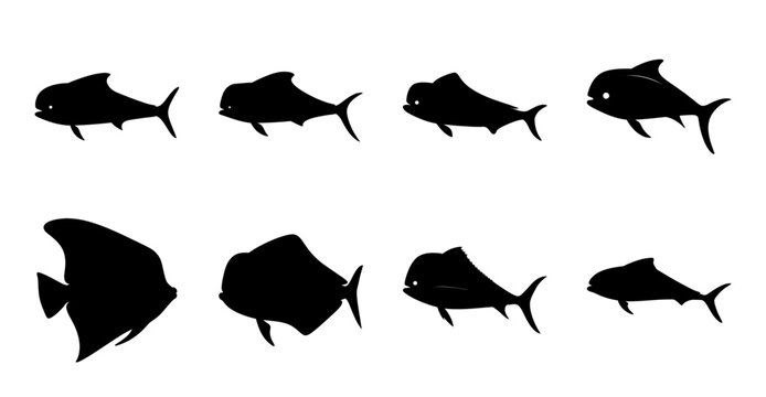 Silhouette Array of Different Fish Species Posing on White Background