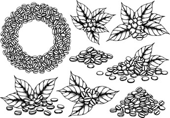 Hand-drawn coffee beans and branches with berries white background, berry leaf © Lisa_Stock