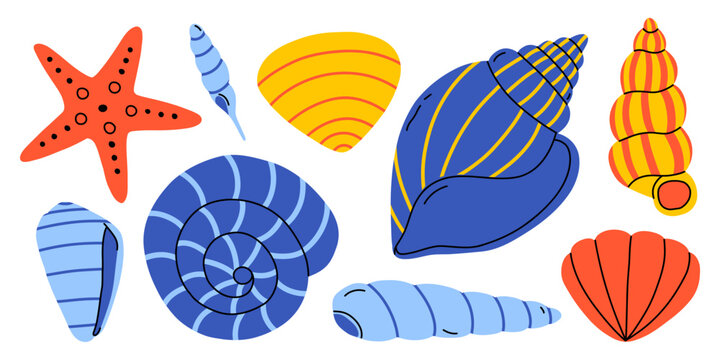 Vector set of colorful sea shell and starfish element. Bright ocean beach souvenir illustration collection for summer vacation design, tropical marine decorative graphic in flat style.