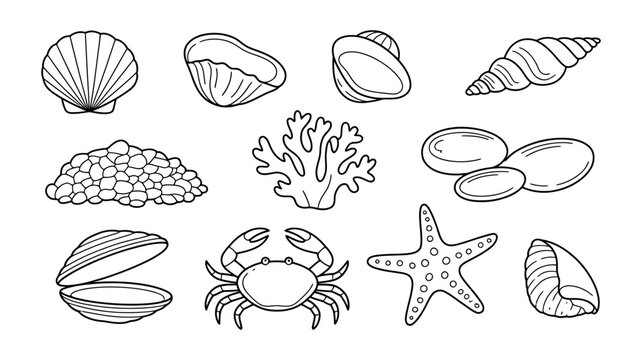 Collection of hand-drawn seashells crab starfish with seashell starfish wildlife creature underwater