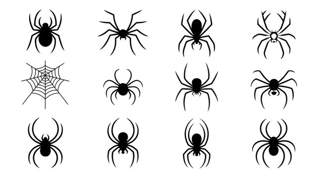 Collection of stylized spider illustrations and web graphics with arachnid illustration collection creature