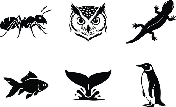 Silhouette of various animals isolated on transparent background