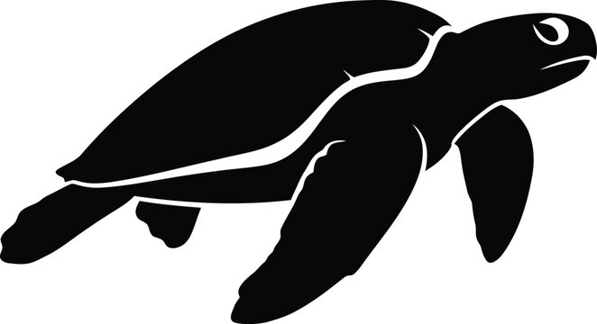 Silhouette of a sea turtle isolated on transparent background