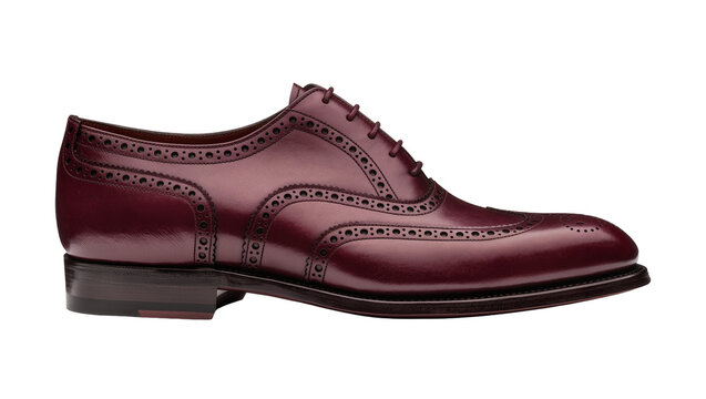 Burgundy leather wingtip brogue oxford dress shoe, isolated on transparent background