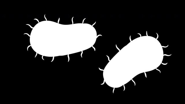 Set of two green bacillus bacteria with flagella hairs. Microscopic view of germs, probiotics or pathogens. Stylized 2d animation suitable for gut health, microbiology, infection control 