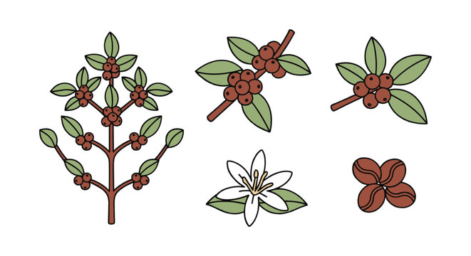 CoffeeTree Line art vector creative simple illustration