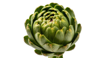 Obraz premium Fresh green artichoke bud with layered petals, isolated on transparent background